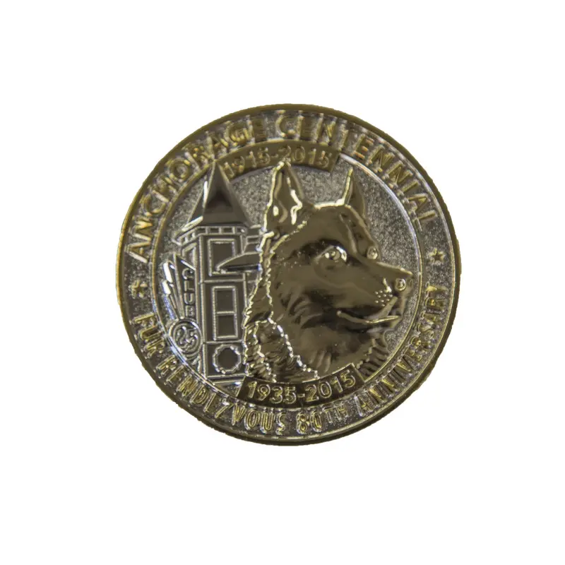 2015 Gold-And-Silver Accent Commemorative Pin 1