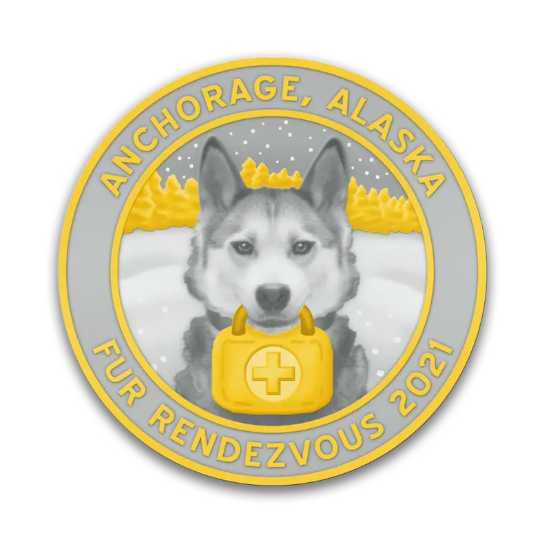 2021 Gold-And-Silver Collector Pin – Dual-Tone Finish 1
