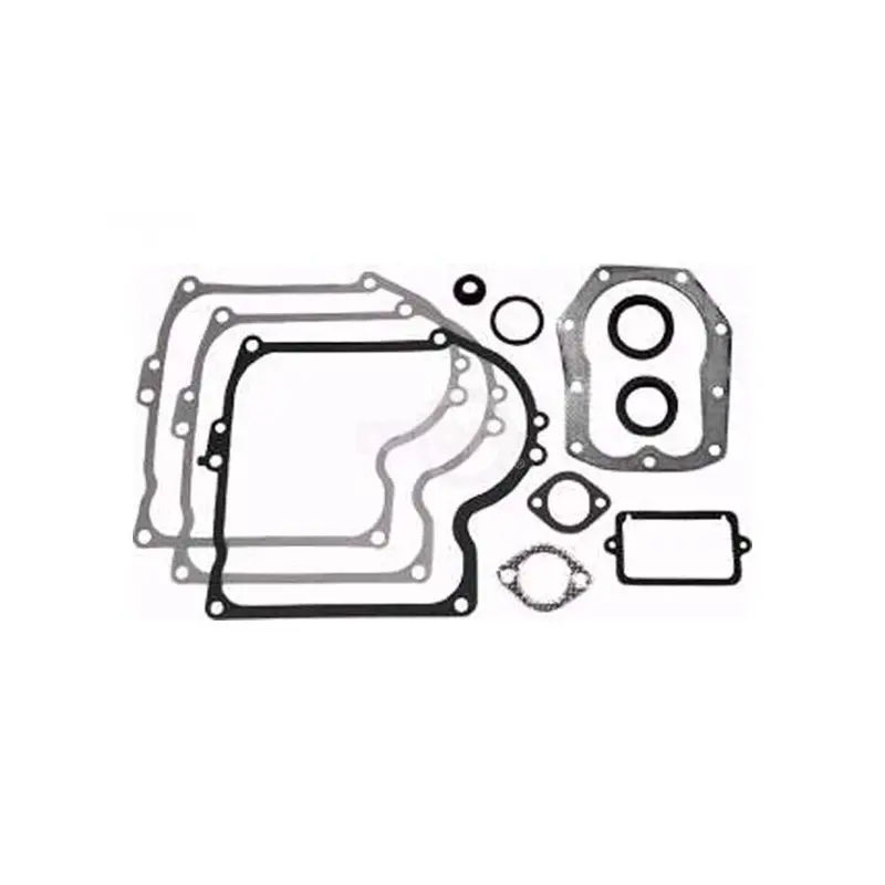 Briggs & Stratton Gasket Set – Comprehensive Rotary Engine Seal Kit 1