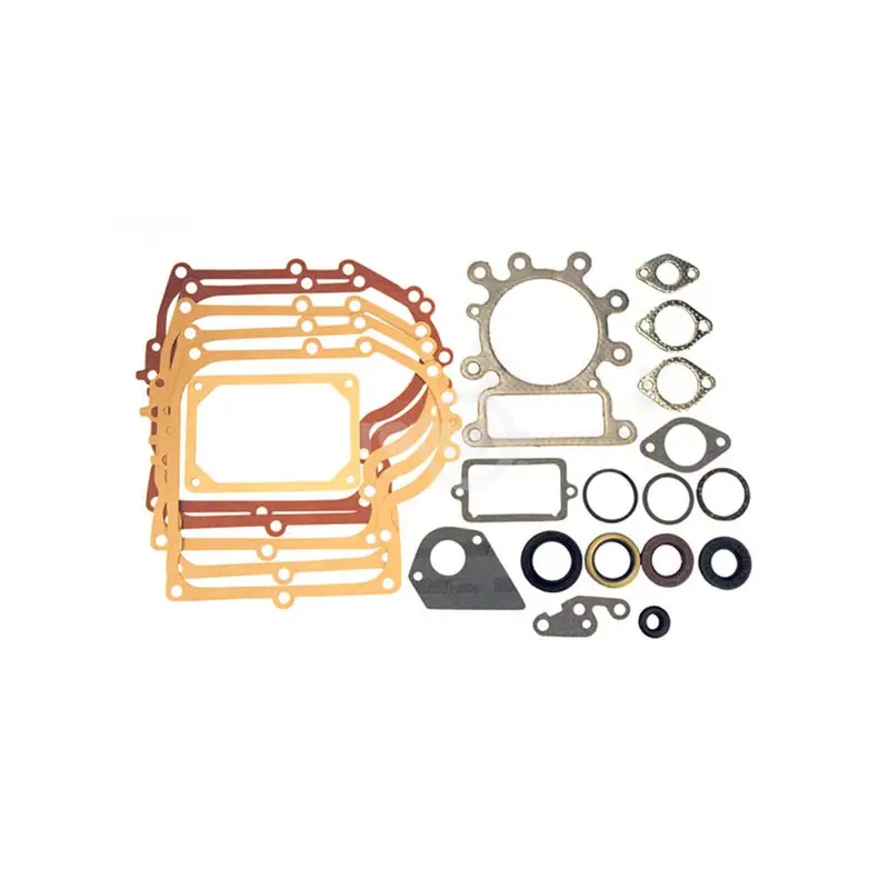 Briggs & Stratton Gasket Set (Replacement For 495993) – Rotary #13210 1
