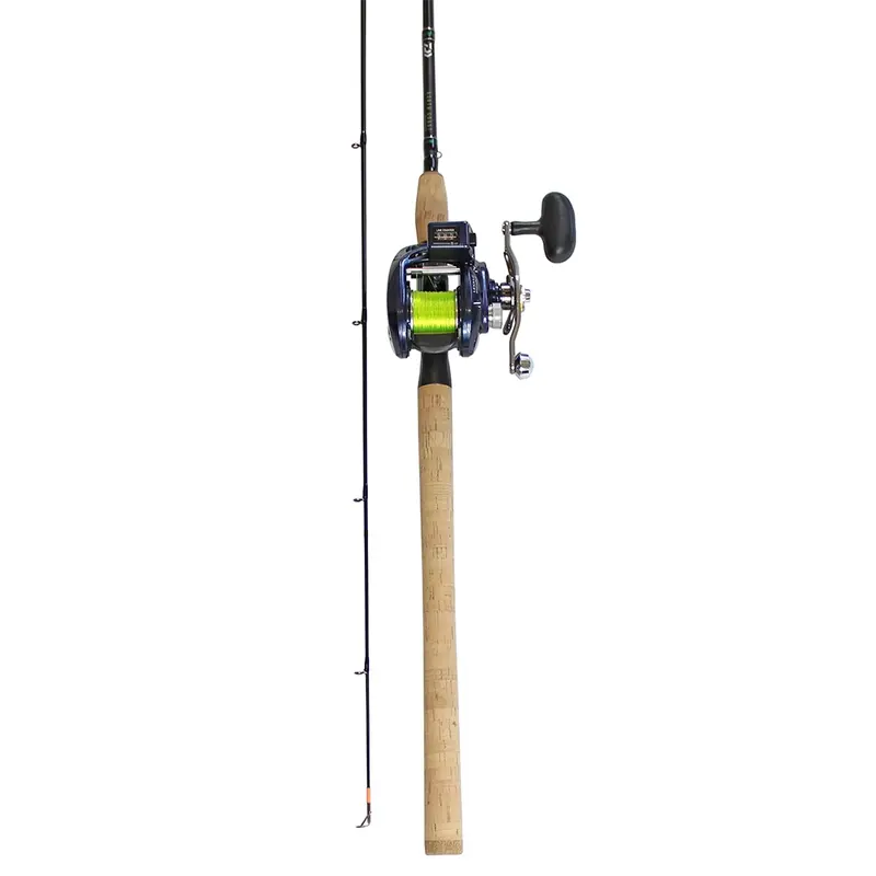 Daiwa Lexa Salmon Mooching Fishing Combo 1
