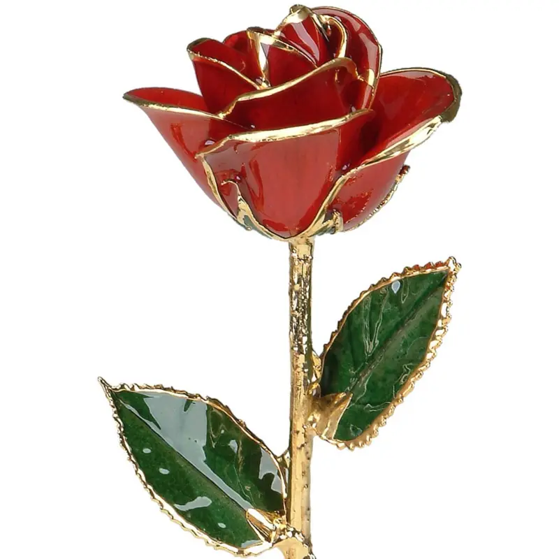 Preserved Red Rose Dipped In 24K Gold 1