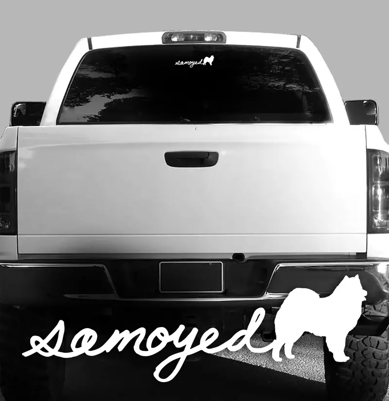 Samoyed Script Vinyl Decal – Stylish Car & Gear Sticker 1