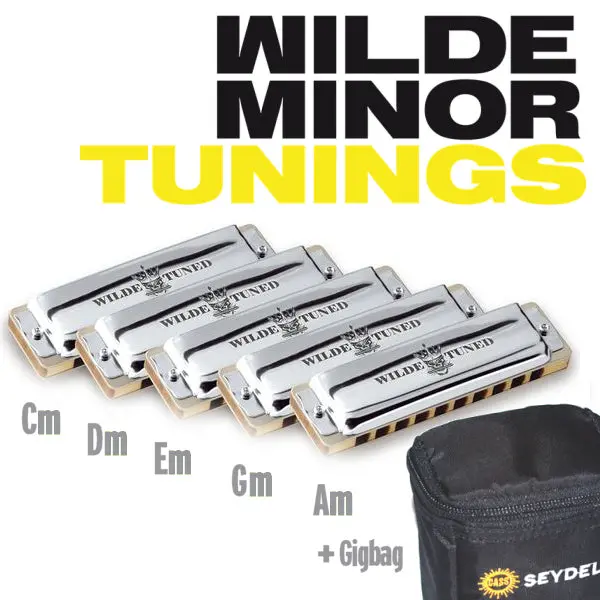 Seydel 1847 Classic Wilde Minor Tuning Set (5 Keys: Gm, Am, Cm, Dm, Em) 1