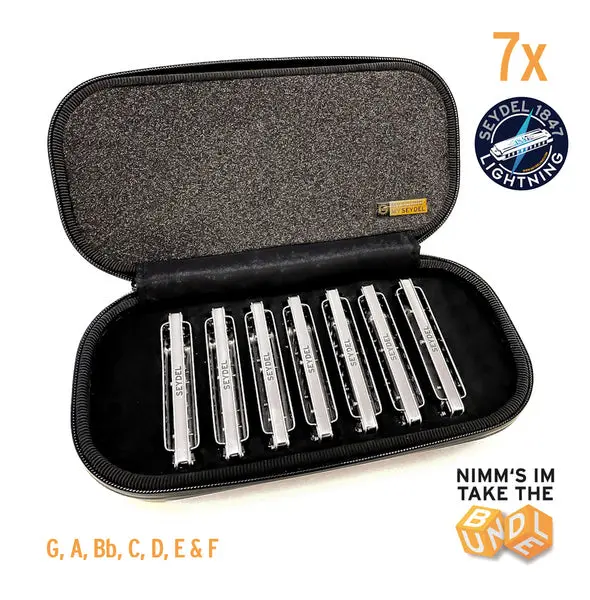 Seydel 1847 Lightning 7-Piece Tuning Kit – Includes Reeds, Combs, And Plates – Model #16627 – Free Us Shipping 1