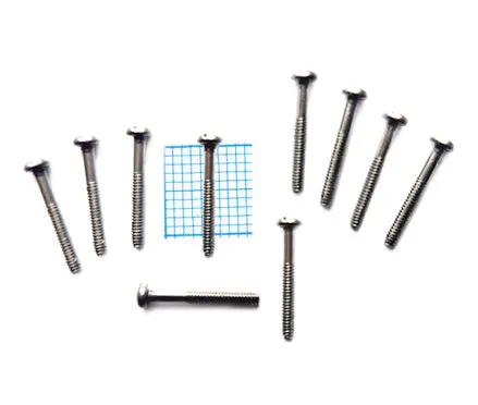Seydel Reed Plate Mounting Screws – M1.6X13 For Concerto, Club & Sailor Models (100161), Free Us Shipping 1