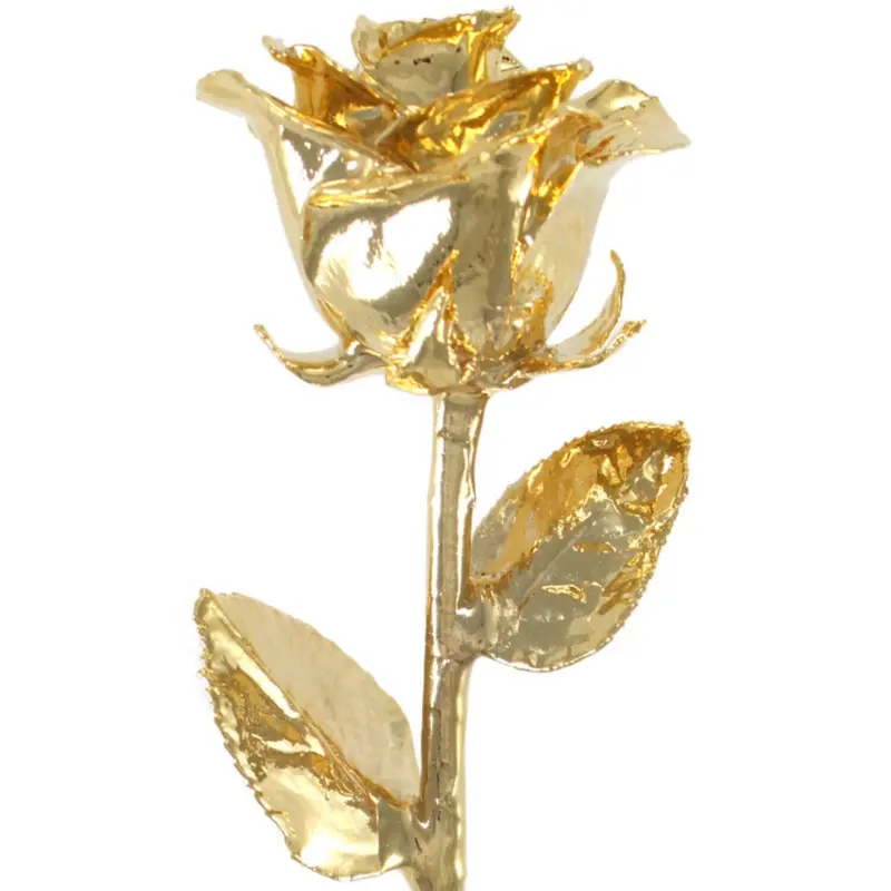 Venus Collection: 24K Gold-Dipped Real Rose 1