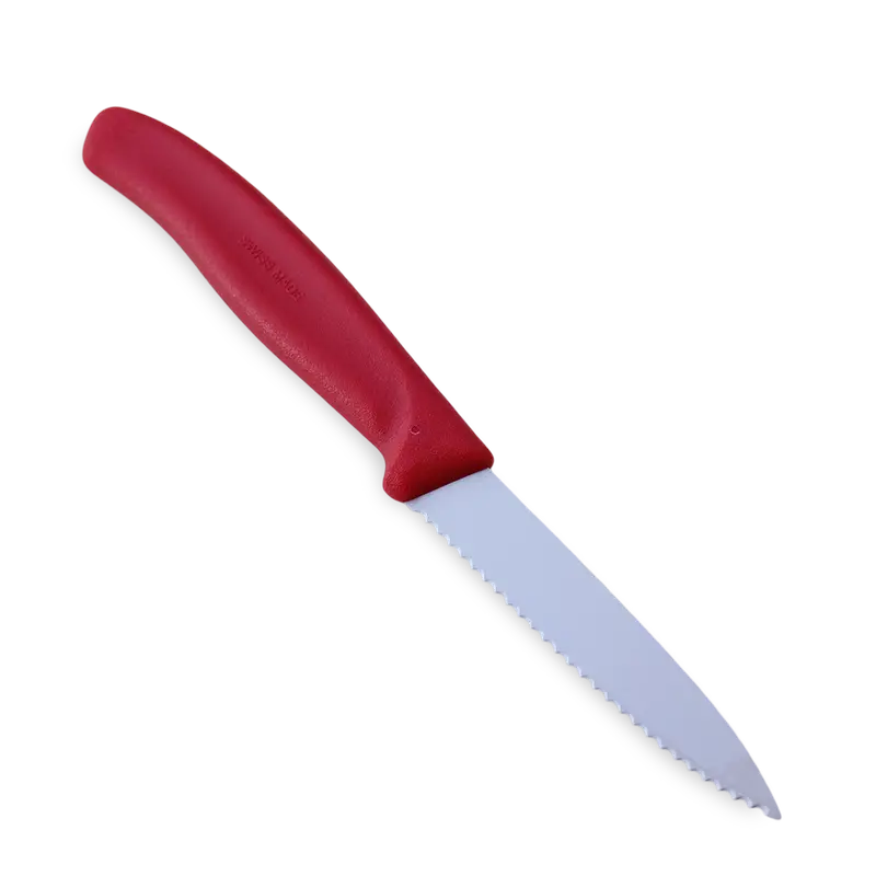 Victorinox Professional Bait Cutting Knife 1